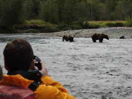 bear viewing photo safari photography