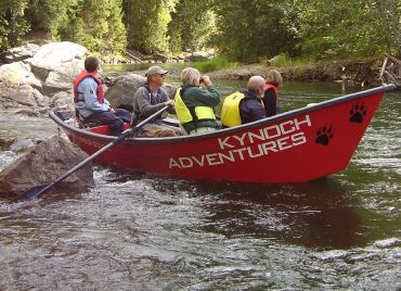 guided bear tours, grizzly bear viewing in Bella Coola BC Canada with professional guides